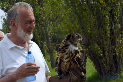 I nostri amici animali